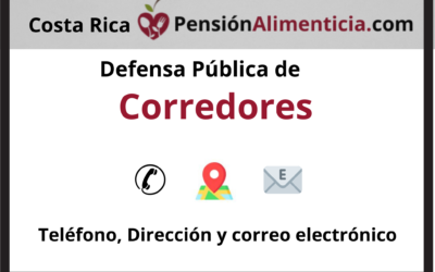 pension alimenticia costa rica