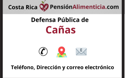 pension alimenticia costa rica