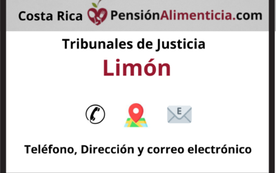 pension alimenticia costa rica